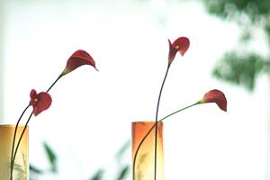 神戸で体験できるリフォームショールーム｜タカラスタンダード神戸HDCショールームの魅力と店舗詳細